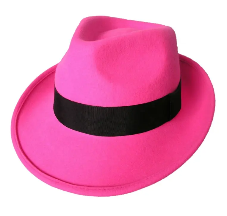 Beauty fedora hat for women in 2013