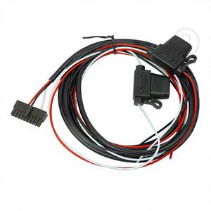 Cablaggio Completamente Connettore a 24 PIN con 2 Interruttori Seriali, LED, Buzzer, 1BB MCP, Cavo GPS, Cablaggio AVIGRAPH - Product Image 1
