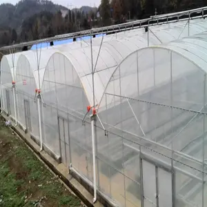 Serra di plastica della serra dell'attrezzatura della serra di alta qualità sulle verdure
