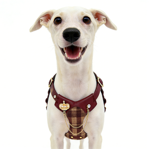 Coleiras, Guias e Peitorais de Couro Macio de Luxo e Fofos para Cães (Tamanhos P, M, G, GG, XGG) - Fabricante de Suprimentos Personalizados para Animais de Estimação - Product Image 3