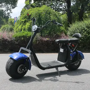 1500w 2000w çıkarılabilir pil citycoco yağ lastik elektrikli scooter bayan/elektrikli motor scooter/akıllı scooter elektrikli