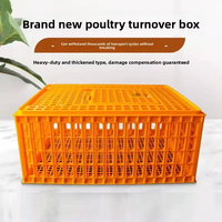 Cage de transport pour poulets en plastique PP de haute qualité, durable, prix de gros usine