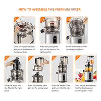 Oem Op Maat Gemaakte Exprimidor Lento Slow Juicer Lage Snelheid Koude Pers Met Hoge Capaciteit Omgekeerde Lage Ruisfunctie