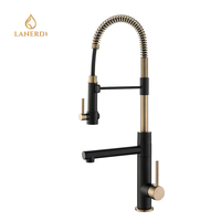 Robinet de cuisine Lanerdi, design luxueux, laiton, poignée unique, trou unique, avec douchette extractible