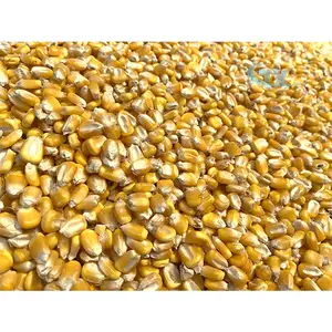 Zimbabwe Maize Grinding Mill Prices 100ton Corn Mil Maize Flour Milling Machine Zimbabwe Maize Grinding Mill Prices