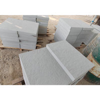 Newstar Stone Carreaux de grès extérieurs Dalle de pavage Pierre d'adaptation Bord de piscine Pavés de grès gris blanc