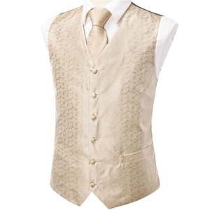 Champagne <span class=keywords><strong>ivoire</strong></span> Paisley hommes <span class=keywords><strong>gilet</strong></span> cravate Hanky boutons de manchette ensemble <span class=keywords><strong>gilet</strong></span> <span class=keywords><strong>costume</strong></span> ensemble pour affaires fête de mariage - Product Image 3