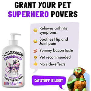 ओimमल 60 मिलीलीटर प्राकृतिक कार्बनिक पालतू तरल समर्थन पूरक कुत्तों के लिए कूल्हे संयुक्त बूंदों स्वस्थ उपास्थि ग्लूकोसामाइन Hi तेजी से - Product Image 3