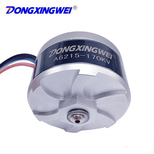 Moteur sans balais Dongxingwei 6215 36V 17000RPM à couple élevé pour tondeuses à gazon et débroussailleuses - Product Image 5