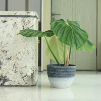 Pot Bunga Plastik Ringan Tahan Lama Ramah Lingkungan Biodegradable Berkualitas Tinggi Harga Terjangkau untuk Luar Ruangan dan Rumah