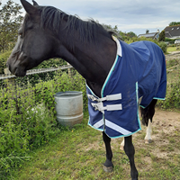 Couverture d'écurie imperméable pour chevaux, en coton, rembourrage chaud, hiver, tissu ripstop, vente en gros