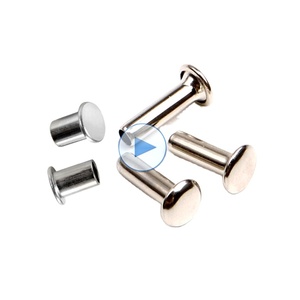Rivets personnalisés <span class=keywords><strong>Pour</strong></span> Charnières, <span class=keywords><strong>Disque</strong></span> D'<span class=keywords><strong>embrayage</strong></span> De Haute Qualité <span class=keywords><strong>Rivet</strong></span> Polyvalent Auto Piercing Rivets - Product Image 1