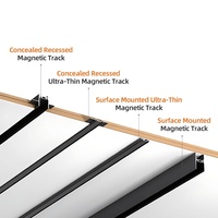 Ecolux Noir Ultra Mince 6mm SMD Plafond Smart Tuya Zigbee Track Lights Linéaire Aluminium Magnétique Led Track Rail Lighting System
