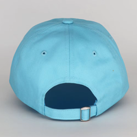 Groothandel Lichtblauwe Palmboom Geborduurde 100% Katoenen Baseballpet Verstelbare Riempje Unisex Volwassene Casual Zonnehoed