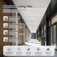 Panneau de plafond en aluminium rainuré et langueté, ventilé, pour bardage extérieur de toiture