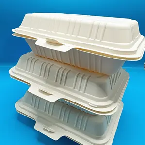 800 ml abschrägige Container Clamshell-Lebensbox für Nachtisch Kuchen Plätzchen Salate Pasta Sandwiches