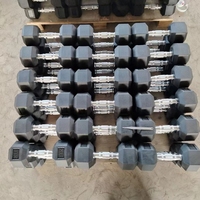 Grosir Cina produsen kustom berat bebas Gym10-100 LB 1-50kg Set logam menangani besi cor karet Hex Hexagon Dumbbell