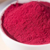 Bubuk Bit Organik untuk Minuman, Bubuk Bit Merah, Bubuk Bit Merah Grosir