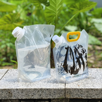 Haute qualité 1L 2L 3L PE pochette debout sac réutilisable en plastique de qualité alimentaire sac d'emballage de l'eau Logo personnalisé pour l'eau minérale bière