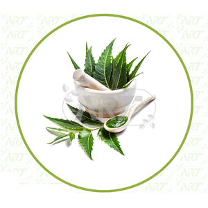 Polvo de hojas de neem finamente molido para uso en formulaciones ayurvédicas máscaras faciales y aplicaciones de limpieza con curación natural - Product Image 3