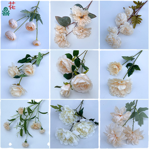 LFH 23 ans mariage Champagne couleur fleur décoration murale soie Hôtel auditorium bienvenue route photographie paysage - Product Image 5