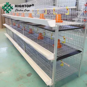 Hightop Ontwerp Moderne Gevogelte Boerderij H Soort Handleiding Gevogelte Metalen Vleeskuikens Raising Kip Kooi Met Mest Riem Voor 1000 Vogels