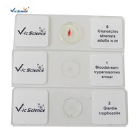 High Quality 40pcs Parasitology Microscope Prepared Slides