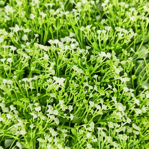 Artificial White Mini Grass Floral Panel UV Resistant Decorative <b>Flower</b> <b>Wall</b> Tile Vertical Garden Panel for Indoor Outdoor - Product Image 4