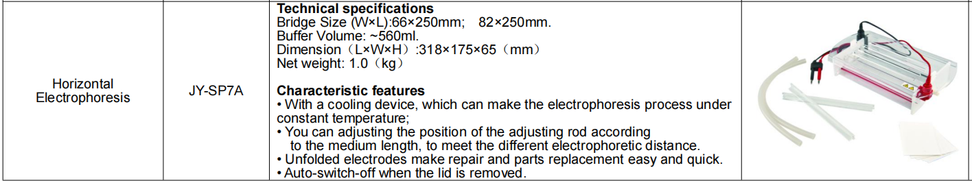 Vertical Gel Electrophoresis System With Electrophoresis