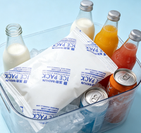 Vente flash - Bloc de glace réutilisable en gel 13x8cm, qualité alimentaire, pour le transport de denrées alimentaires, échantillon gratuit fourni