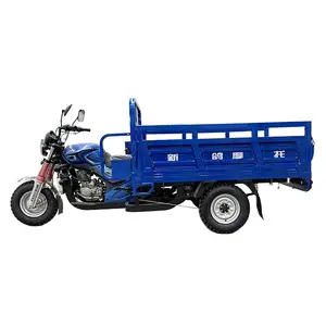 2023 Tricycle 250cc moteur 3 roues moto essence motorisé Tricycles Cargo camion monocylindre refroidi par Air