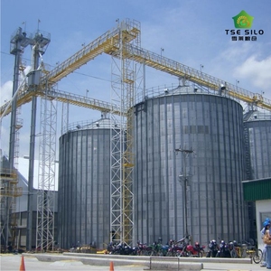 Silos à fèves à fond plat en acier galvanisé à chaud de haute qualité, marque TSE, certifiés ISO9001 et CE, TCK <span class=keywords><strong>12500T</strong></span>, pour élevages de poulets - Product Image 1