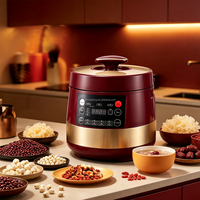 Cuisinière à pression électrique multifonctionnelle de taille familiale 5L 6L, système de verrouillage de sécurité, cuisinière à pression domestique