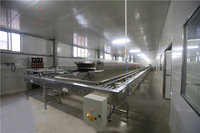 Four à Tunnel Automatique à Convoyeur YOSLON pour Boulangerie Commerciale, Machine à Faire du Pain, Équipement de Cuisson de Pizzas