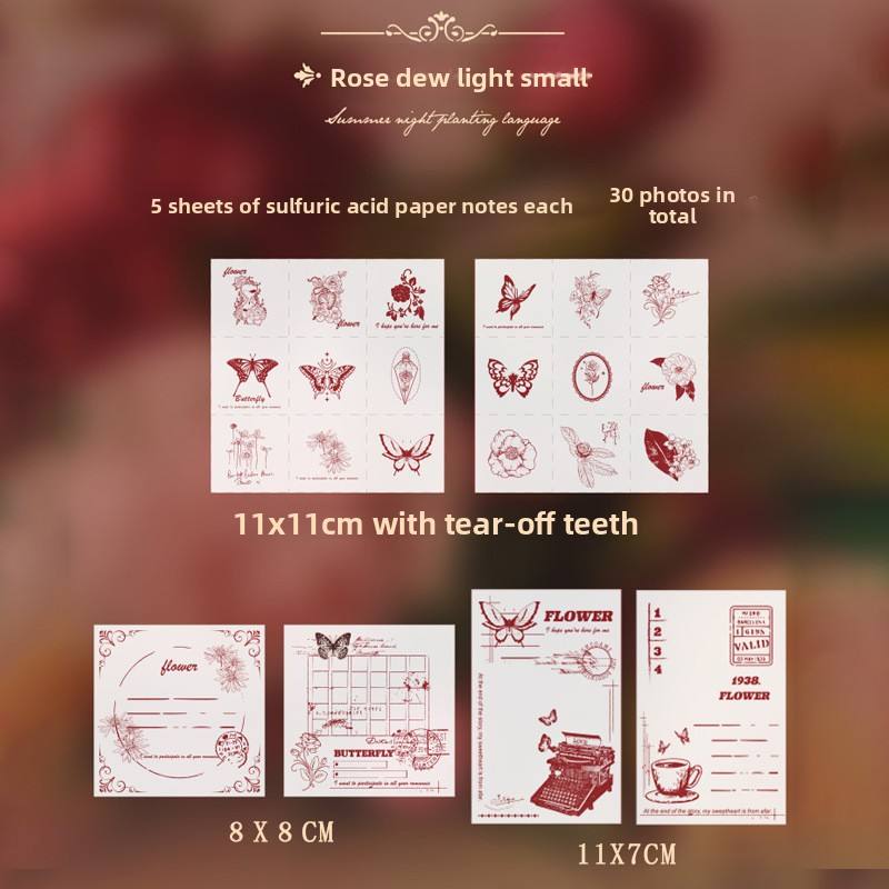 C Rosemary-blanc éclatant