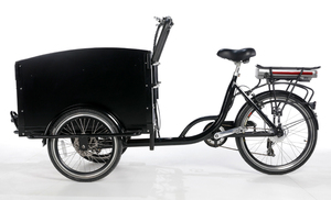 Triciclo Eléctrico de Carga con 4 Cinturones de Seguridad para Bebés, Nuevo Triciclo de Tres Ruedas para Adultos, Triciclo de Carga Moderno y de Ocio - Product Image 2