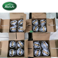 RuvJs 3.0T Piston à essence et segments 3.0T V6 Essence OE LR062617 LR0765R5 pour Land Rover Range Rover Sport