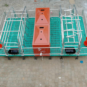 Châu Âu loại <span class=keywords><strong>farrowing</strong></span> Pen Lồng cho lợn trang trại đôi kích thước gieo giường Hot mạ kẽm ống thép - Product Image 6