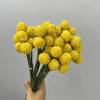 Bouquet décoratif réaliste de fruits dorés - Décoration de remise de diplôme, maison, bureau - Fleurs artificielles longues en plastique au design moderne - Plante artificielle