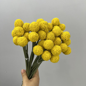 Bouquet décoratif réaliste de fruits dorés - Décoration de remise de diplôme, maison, bureau - Fleurs artificielles longues en plastique au design moderne - Plante artificielle - Product Image 4