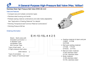 Válvulas de Bola de Acero Inoxidable Eagle para Equipos, Fabricante de Alta Presión, 1/2 3/4 2, Acero Inoxidable, Soldadura de Agua, BSPP G BSPT, Tipo de Mordida R - Product Image 2