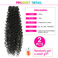 Extensions de cheveux synthétiques afro bouclés, double trame, non-Remy, pointes épaisses, lot de 2 pièces, ondulations Water Wave Jerry, résistantes à la chaleur