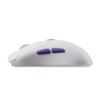 Akko Pulse 01 Souris de jeu Capteur PAW3950 Taux d'interrogation 8K Niveaux DPI multimode allant de 400 à 30000 Souris Gamer