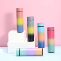 Bouteille d'eau avec affichage de la température LED Bouteille d'eau isolée sous vide à double paroi, bouteille de voyage de sport en acier inoxydable