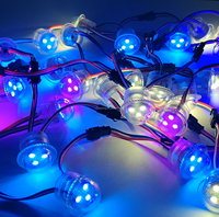 Lampes à points LED RGB programmées en avance, 26 mm, IP65, PC, AC24V, 6 LED, pour parcs d'attractions