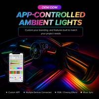 Kit d'éclairage d'ambiance pour voiture 18-en-1, LED RGB effet écailles de dragon, 5 contrôleurs, synchronisation via application, télécommande musicale, pour garnitures de portes, poignées, espace pieds et rangements
