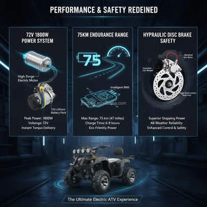 <span class=keywords><strong>Quad</strong></span> électrique pour adultes, inspection de qualité stricte, 2 roues motrices, vitesse maximale de 80 <span class=keywords><strong>km</strong></span>/<span class=keywords><strong>h</strong></span>, exploration de la nature sauvage - Product Image 2