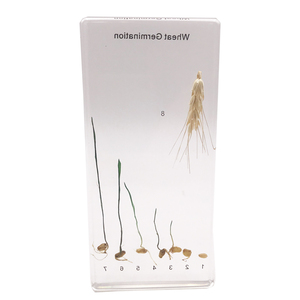 Gelsonlab HSBS-101 acrílico arroz Paddy germinación muestra incluidas muestras biológicas - Product Image 2