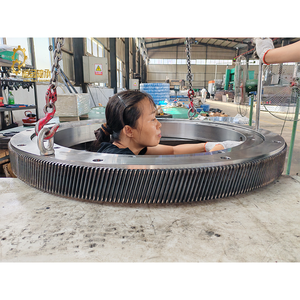 Máy Nặng Cho Xe Tải Cẩu Mang 132.32.1120 Sản Xuất Theo Yêu Cầu - Product Image 4