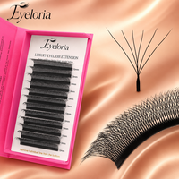 Extensions de cils individuels en forme de W 3D-8D, faux cils 3D 4D 5D 9D 10D, cils trèfle, extensions de cils marque privée